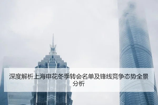 深度解析上海申花冬季转会名单及锋线竞争态势全景分析